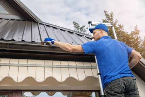 Gutter cleaning service overview